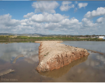 The final stage of the waterfowl island