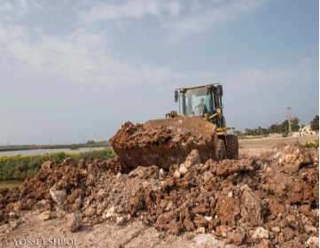Salt of the Earth Acts to Protect Waterfowl