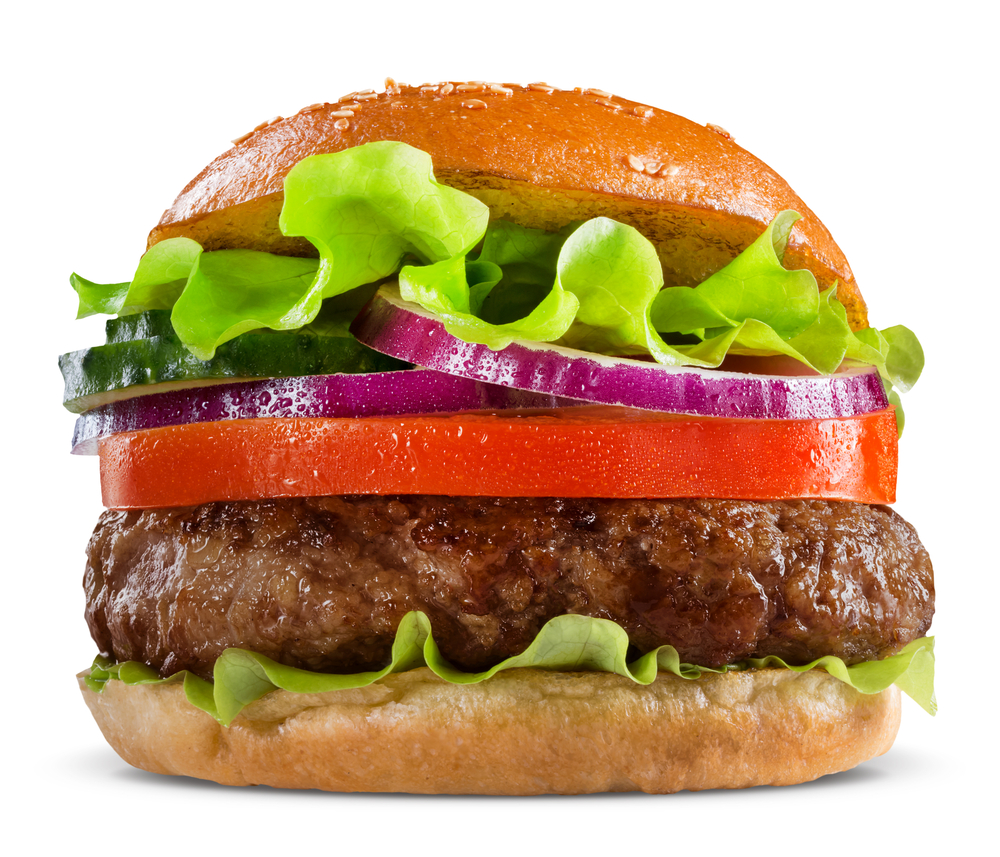 humburger low salt salt of the earth