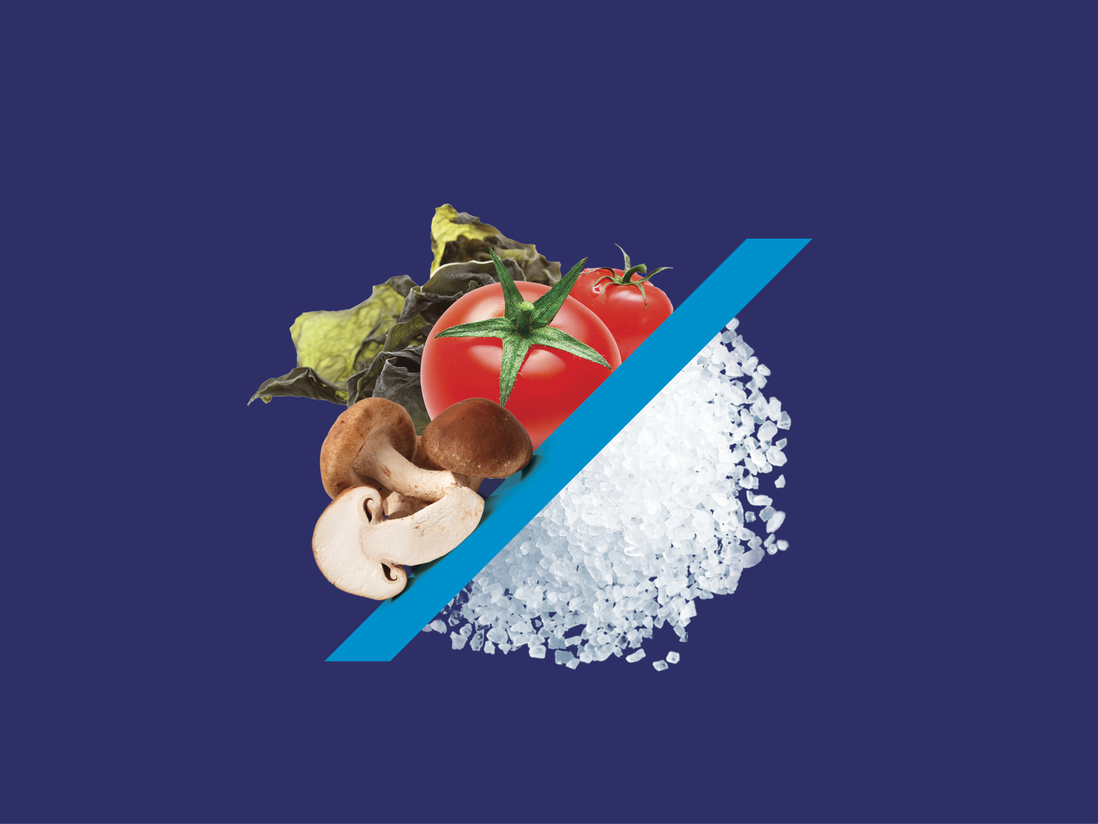 umami for sodium reduction low sodium salt - Umami